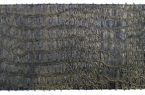 Black leather Stock-Fotos