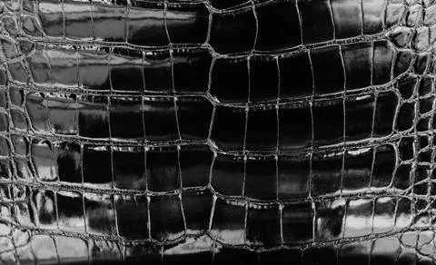 Black leather Stock Photos