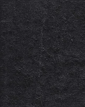 Black Leather 写真素材