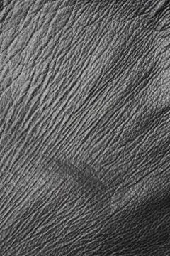 Black Leather Stock Photos