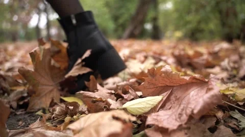 Black leather shoes Stock Footage 142093579