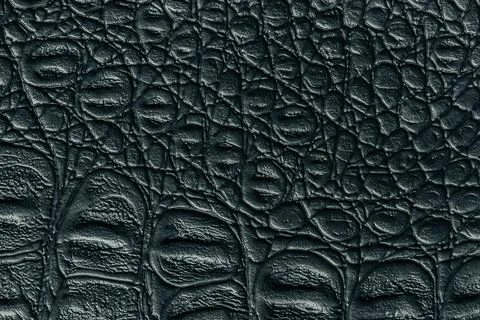 Black leather texture background, closeup. Dark gray reptile skin, macro. Stock Photos