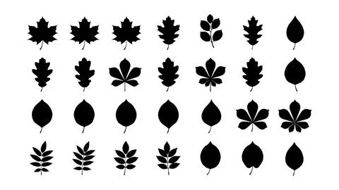 Black Leaves Vector Silhouette Set Stock Illustration