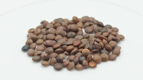 Black lentil on white background Stock Footage 141259644