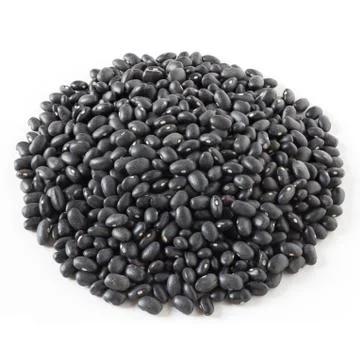 Black Lentils 写真素材