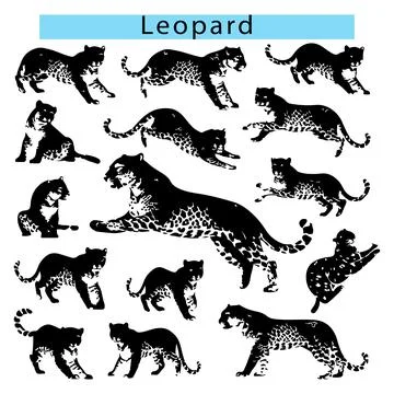 Black Leopard vector, Leopard silhouette vector Stock-Illustration