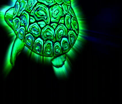 Black Light Turtle Stock Footage 308308