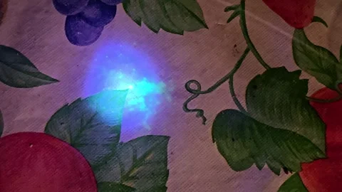 Black Light, UV Light reveals stains, dirt on kitchen table. Stock-Footage 255042201