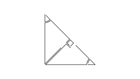 Black line Angle bisector of a triangle icon isolated on white background. 4K Stock Footage 154731391