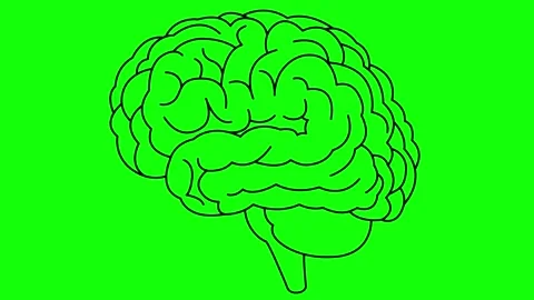 Black line brain 2 green Video stock 304491878