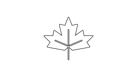 Black line Canadian maple leaf icon isolated on white background. Canada symbol Stock Footage 167509317