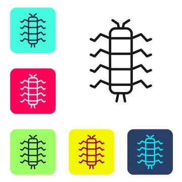 Black line Centipede insect icon isolated on white background. Set icons in c Stock Illustration