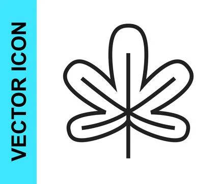 Black line Chestnut leaf icon isolated on white background.  Vector Stock Illustration
