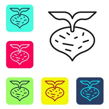 Black line Fresh beet with leaf icon isolated on white background. Natural Ro Stock Illustration