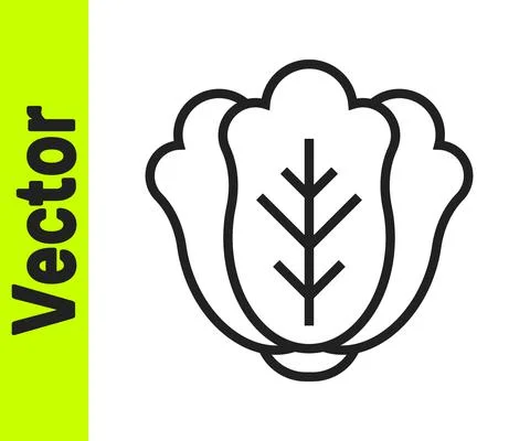 Black line Fresh cabbage vegetable icon isolated on white background. Vector Ilustración de archivo