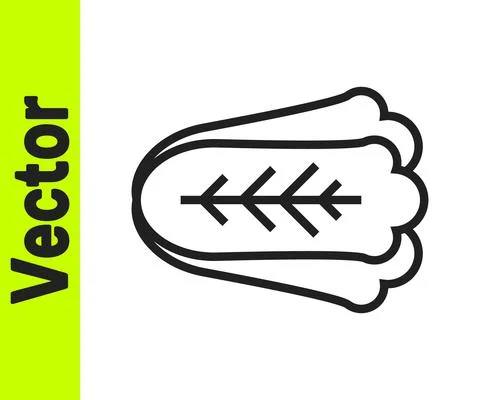 Black line Fresh cabbage vegetable icon isolated on white background. Vector Ilustración de archivo