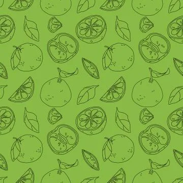 Black line grapefruit seamless pattern on green backdrop stock vector illustr Stock Illustration