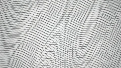 Black line grid geometric mesh optical wave seamless loop background Stock Footage 348050141