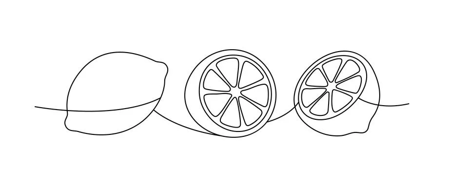 Black line lemon composition. Continuous contour illustration of whole and Stock Illustration