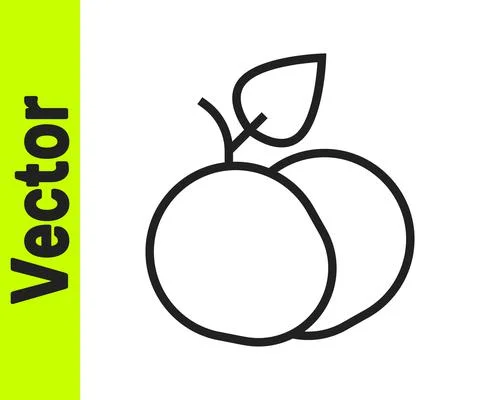Black line Mango fruit icon isolated on white background. Vector 스톡 일러스트