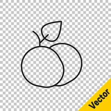 Black line Mango fruit icon isolated on transparent background. Vector Stock Illustration