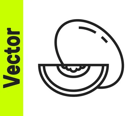 Black line Melon fruit icon isolated on white background. Vector Stock Illustration