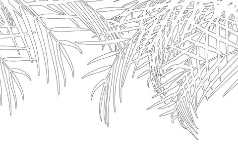 Black Line Palm Leaf Tropical Background Vector 스톡 일러스트