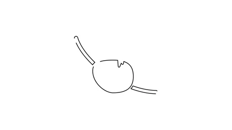 Black line Pirate eye patch icon isolated on white background. Pirate accessory Stock Footage 142675553