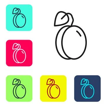 Black line Plum fruit icon isolated on white background. Set icons in color.. Stock Illustration