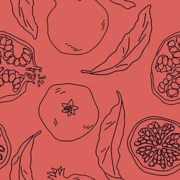 Black line pomegranate seamless pattern on pink backdrop stock vector illustr Stock Illustration