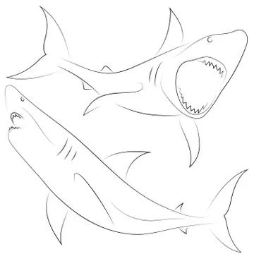 Black line shark attacks on white background. Set of Sharks. Sketch style. Ve Stock Illustration