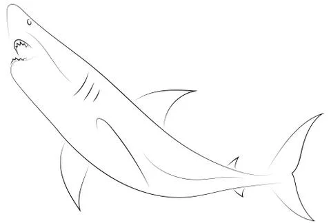 Black line shark attacks on white background. Shark. Sketch style. Vector gra Stock Illustration