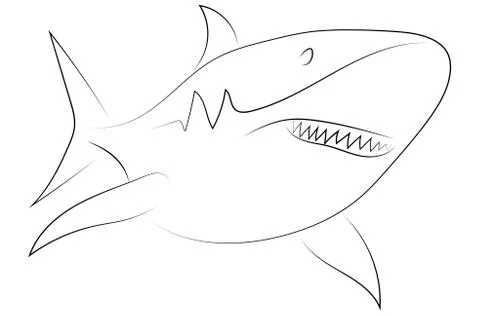 Black line shark on white background. Shark. Sketch style. Vector graphic ico 스톡 일러스트