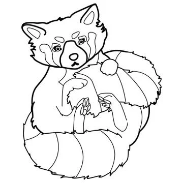Black line small panda on white isolated backdrop. Stock Illustration