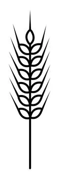 Black line spikelet of cereal, vector icon Stock Illustration