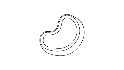 Black line Steak meat icon isolated on white background. 4K Video motion graphic Video stock 159289730