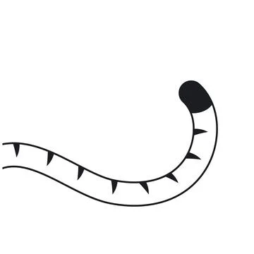 Black line tiger tail icon vector element design template Illustrazione stock