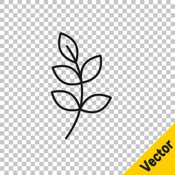 Black line Willow leaf icon isolated on transparent background.  Vector Stock Illustration