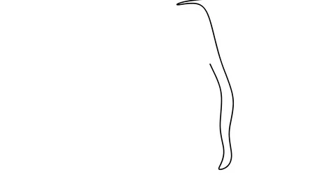 Black lines on white background. Concept of salon website Video stock 128417431