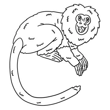 Black Lion Tamarin Monkey Isolated Coloring Page Stock Illustration
