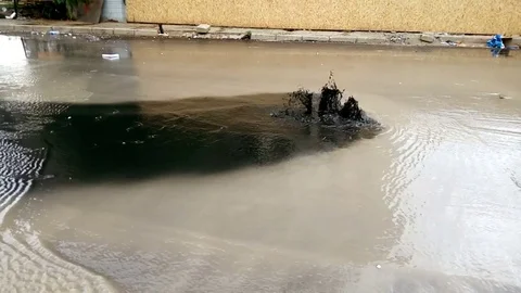 Black liquid overflow from a sewer cover. Stock Footage 83250880