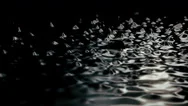Black Liquid Surface, Abstract, Oil, Fluid, Ferrofluid Stock Footage