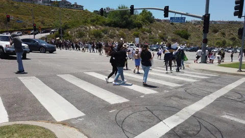 Black Lives Matter March Stock Footage 132971899