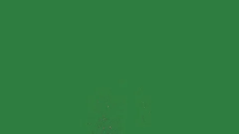 Black logo an image of tree in the middle figure Vídeo Stock 335979429