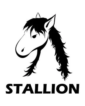 Black logo vector of a horse head eps 10 Stock Illustration