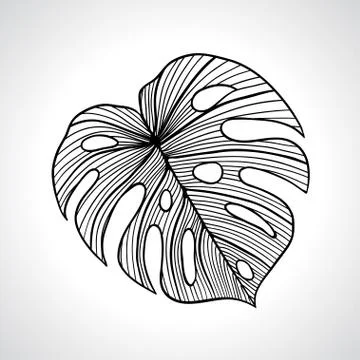 Black macro palm leaf isolated Stock Illustration