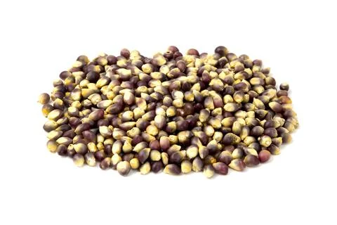 Black maize kernels Stock Photos