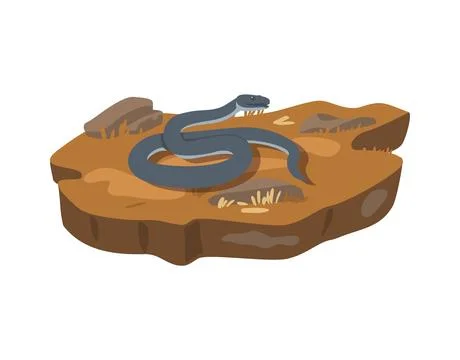 Black mamba snake crawling on the ground, flat vector illustration isolated on Stock Illustration