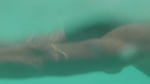 Black Man Diving and Swimming in Pool Stock Footage 236578982