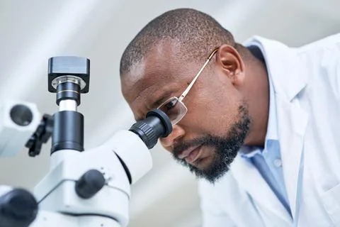 Black man, microscope and exam with medical research in laboratory for expe.. Stock Photos